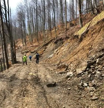 Drum forestier proiectat pentru circulație sigură și infrastructură durabilă